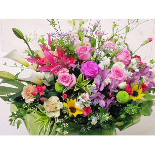 �X�����ꉟ���A�����W��3