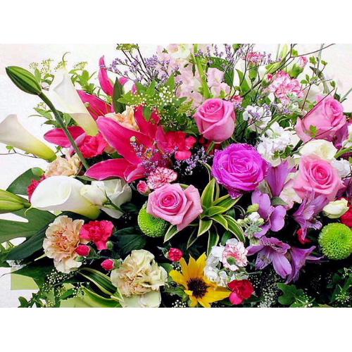 �X�����ꉟ���A�����W��4