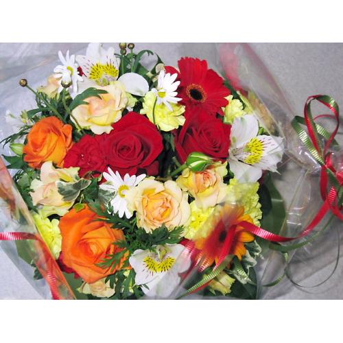 �L���|�e�B�\���A�����W��5