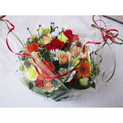�L���|�e�B�\���A�����W��
