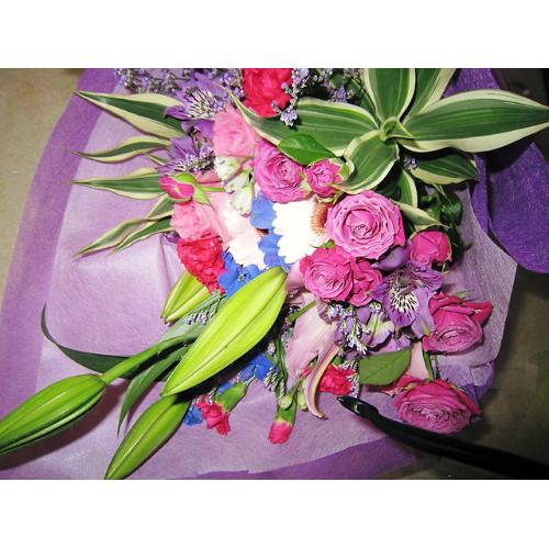 �T�}�|���X�y�V�����u�|�P��3