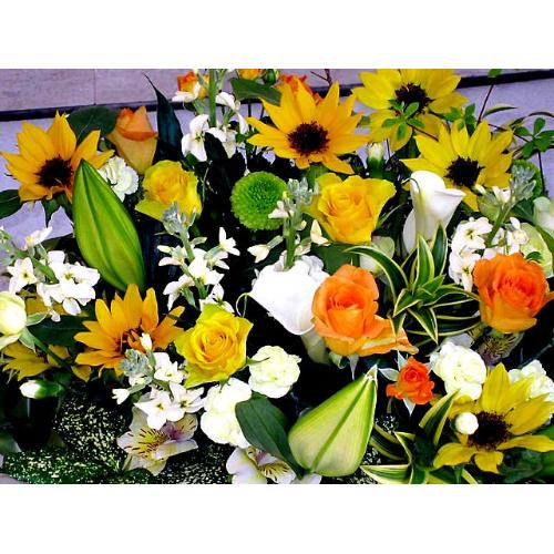 ���Ă��ʂ遚�X���������߃A�����W!!3