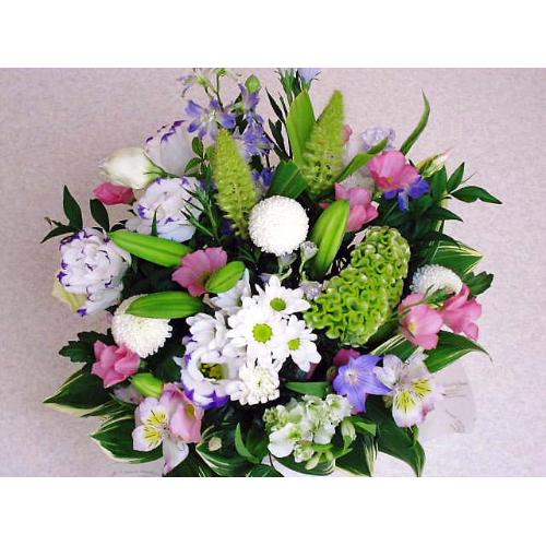 �l�C�������A�����W
