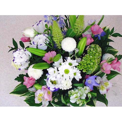 �l�C�������A�����W2