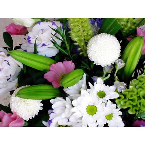 �l�C�������A�����W4