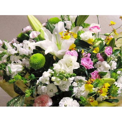 �m���������A�����W5