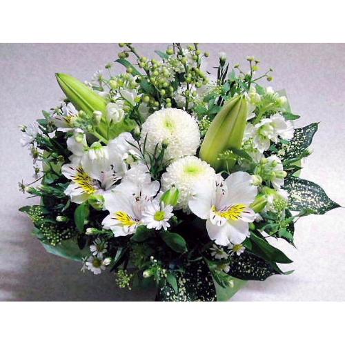 �����������A�����W3