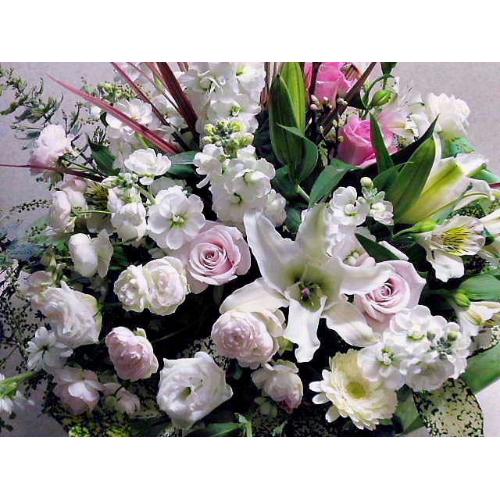 �z���C�g�n�A�����W�@�[�א�