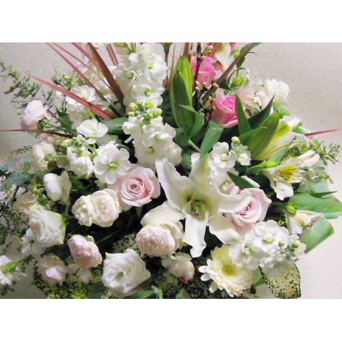 �z���C�g�n�A�����W�@�[�א�2