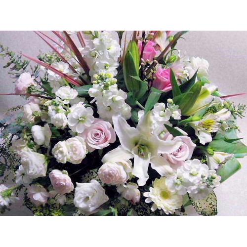 �z���C�g�n�A�����W�@�[�א�4