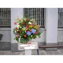 ���j���p�X�^���h�@�y��Ȕz�B�n��F�򕌌��򕌎s�z