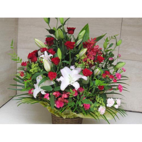 ���j�����A�����W���b�g�J��-�Y�A�����W��3