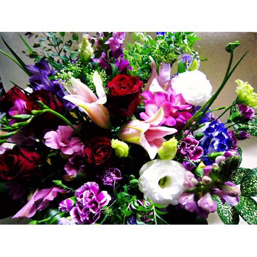 ����݉�