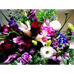 ����݉�