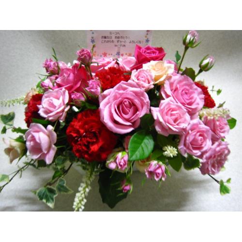 �o�����X�v��-�o�����A�����W����M��7