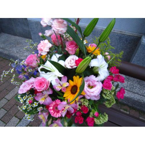 �u�����c�A�����W�k�J4