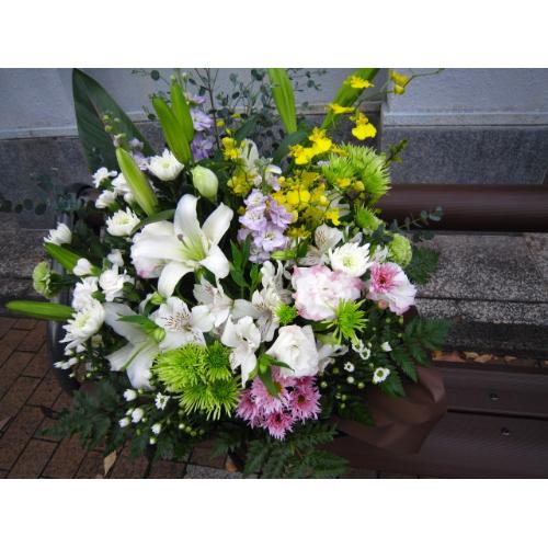 �䋟���A�����W���c�Ő�2