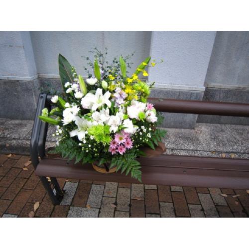 �䋟���A�����W���c�Ő�3