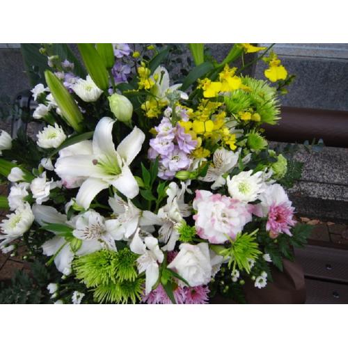 �䋟���A�����W���c�Ő�4
