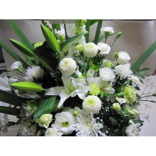 �䋟���A�����W���c����2