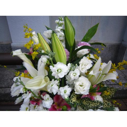 �䋟���A�����W���c���R4