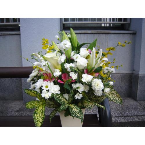 �䋟���A�����W���c���R5