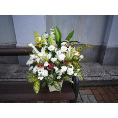 �䋟���A�����W���c���R
