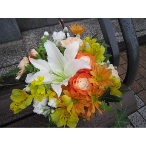 �C�G���[�I�����W�n�A�����W������4