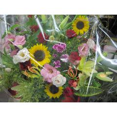 �G�ߌ��肨���߃A�����W