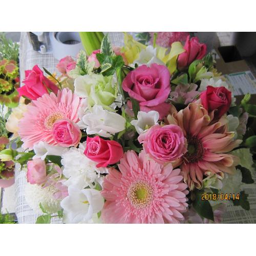 ���s���N�̉����@�A�����W��4