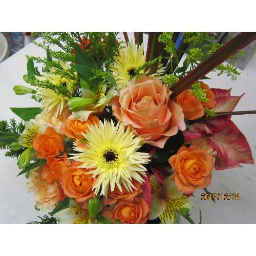 �C�G���\�I�����W�n�̃A�����W���с�