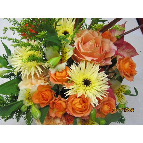 �C�G���\�I�����W�n�̃A�����W���с�2