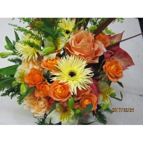 �C�G���\�I�����W�n�̃A�����W���с�3