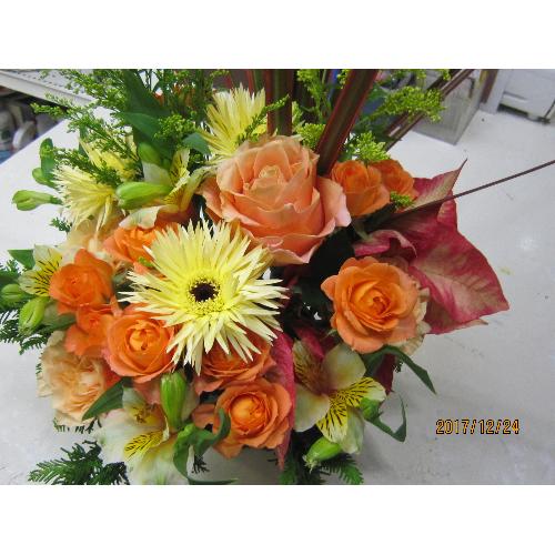 �C�G���\�I�����W�n�̃A�����W���с�4