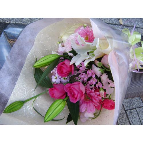 ���s���N�̉����@�ԑ����v���Z�A2