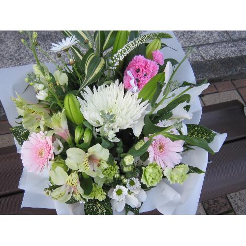 �������A�����W���c�g3