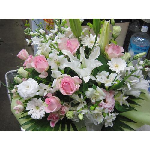 ���s���N�n�A�����W����ց�4