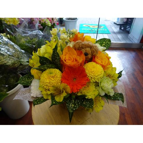 ���C�G���[�I�����W�n�̂���񂨋����A�����W���c��]���c
