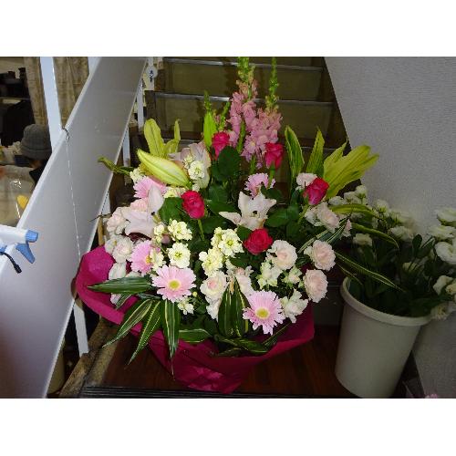���s���N�n���؃A�����W���听��2