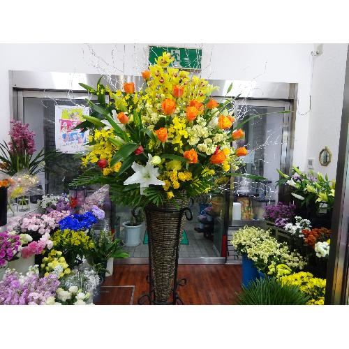 �C�G���\�I�����W�n�̃X�^���h���P����3