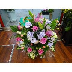 ���s���N�̉����@�A�����W������