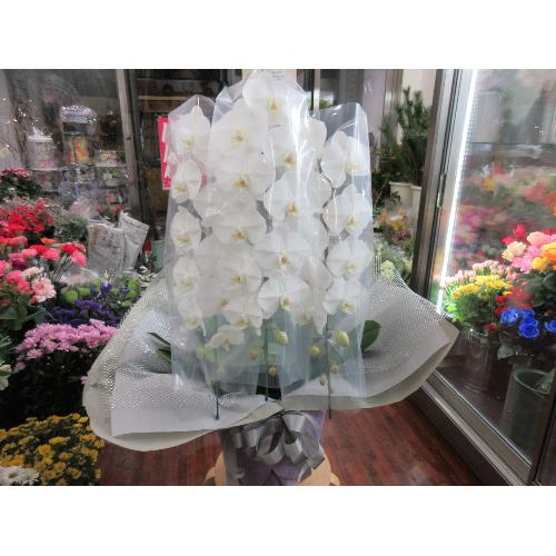 �Ӓ���3�{�� �䋟���g�p
