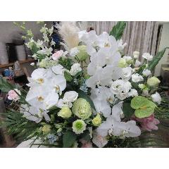 �z���C�g�̍��؃A�����W�@