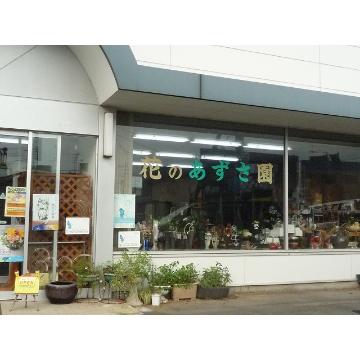 �X�܊O�ω摜