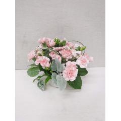 sweet�~sweet Arrangement