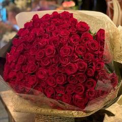 �P�O�O�{�̃o���a������������