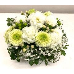 white�@Arrangement