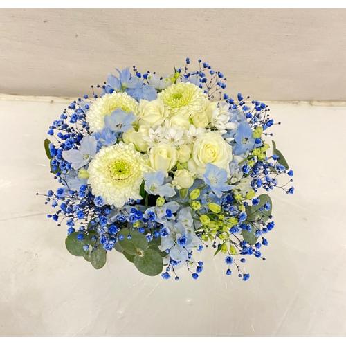 white�@���@blue