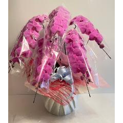 �Ӓ����@Pink5F