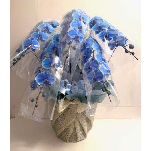 �Ӓ����@blue�@5F